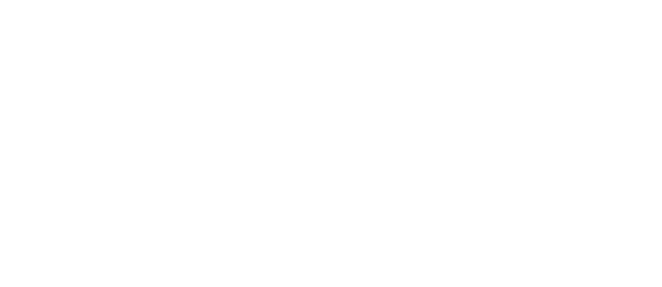 Nicks logo